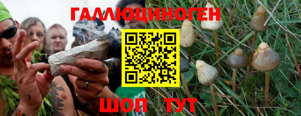 Сарапул  Галлюциногенные грибы мицелий  Вход с VPN  Псилоцибиновые грибы MAGIC MUSHROOMS 